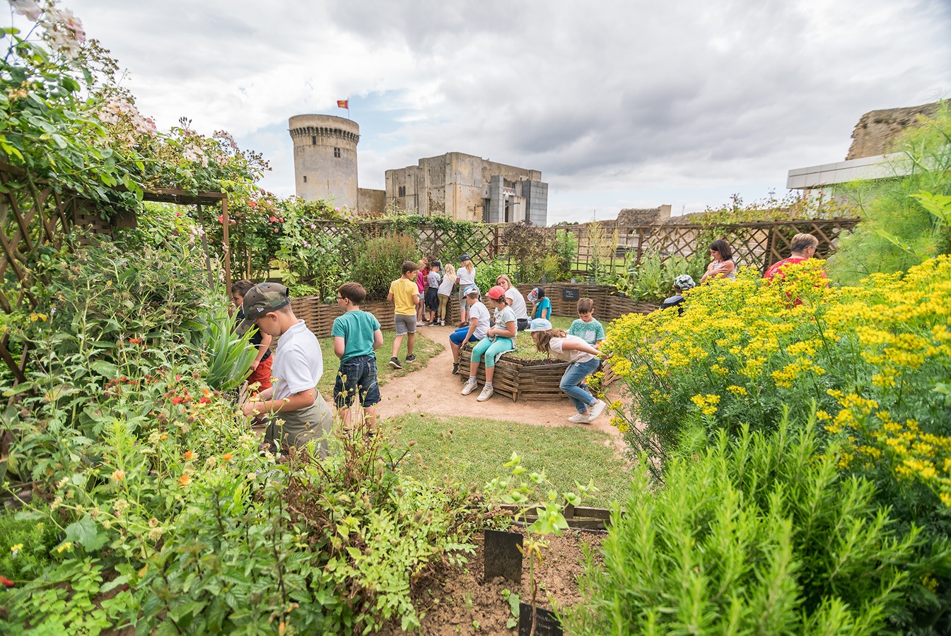 Jacky HervieuxLe jardin du château Château Guillaume le Conquérant FALAISE
