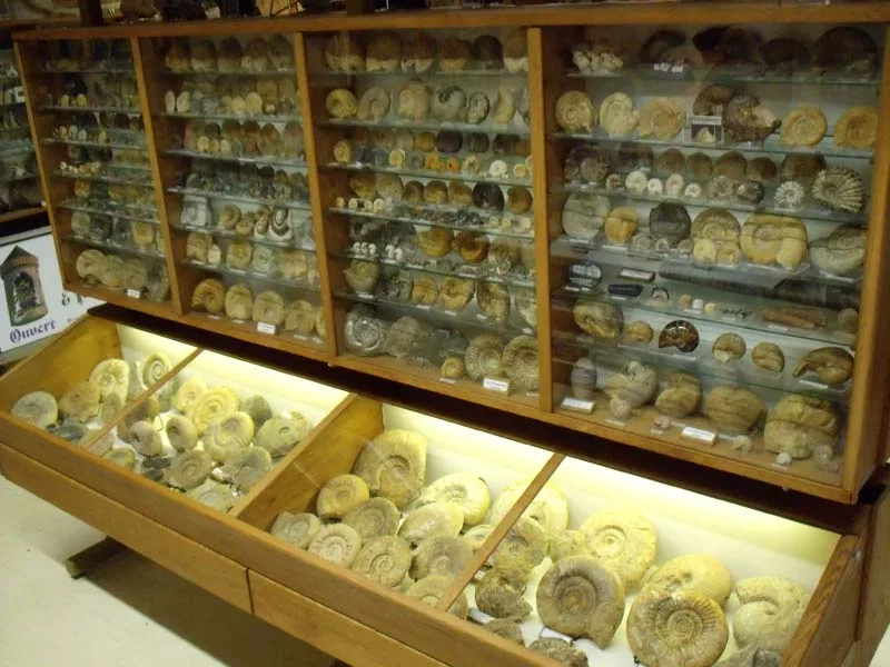 musée des minéraux et des fossiles à Gacé