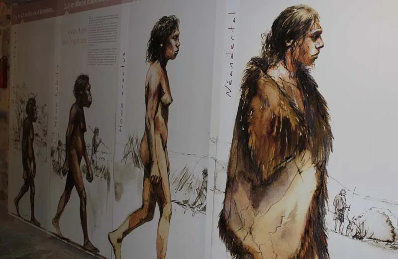 Musée de la Préhistoire Rânes