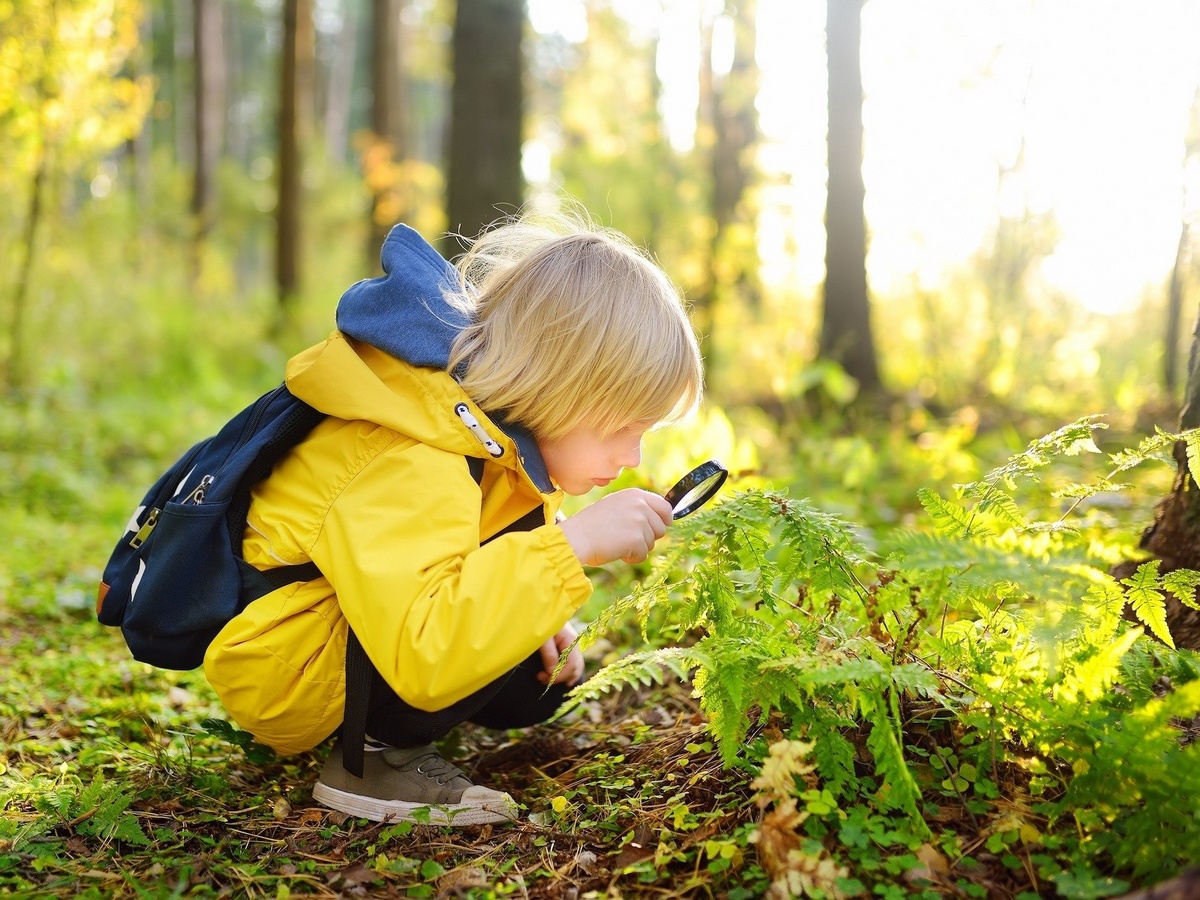 PIXABAYNATURE ENFANT