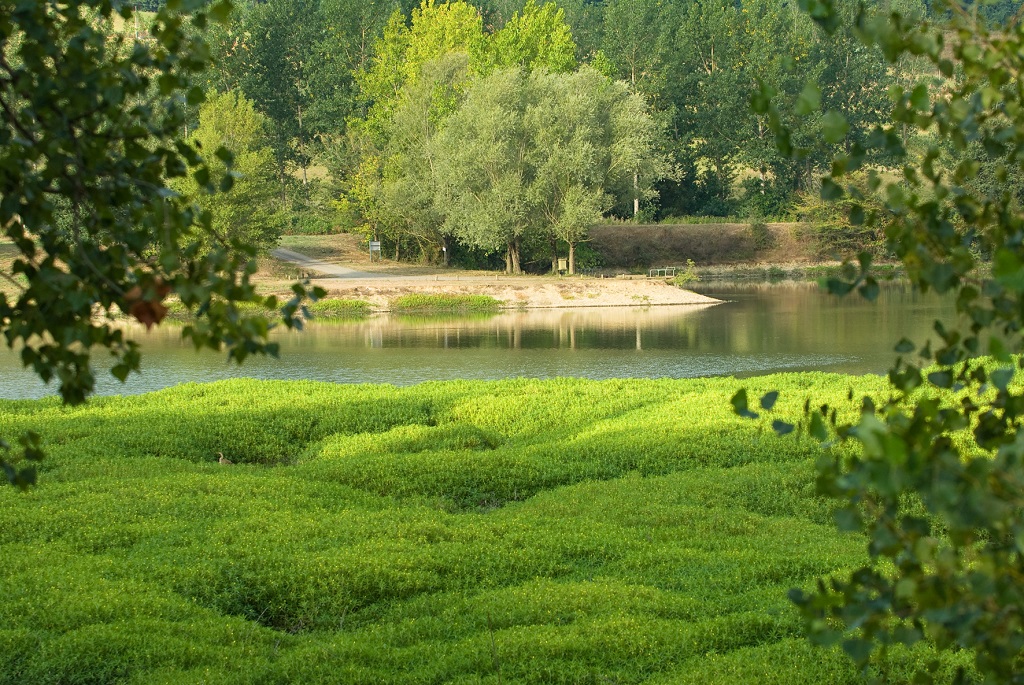 Anne LantaLacs de Nerbis - 1