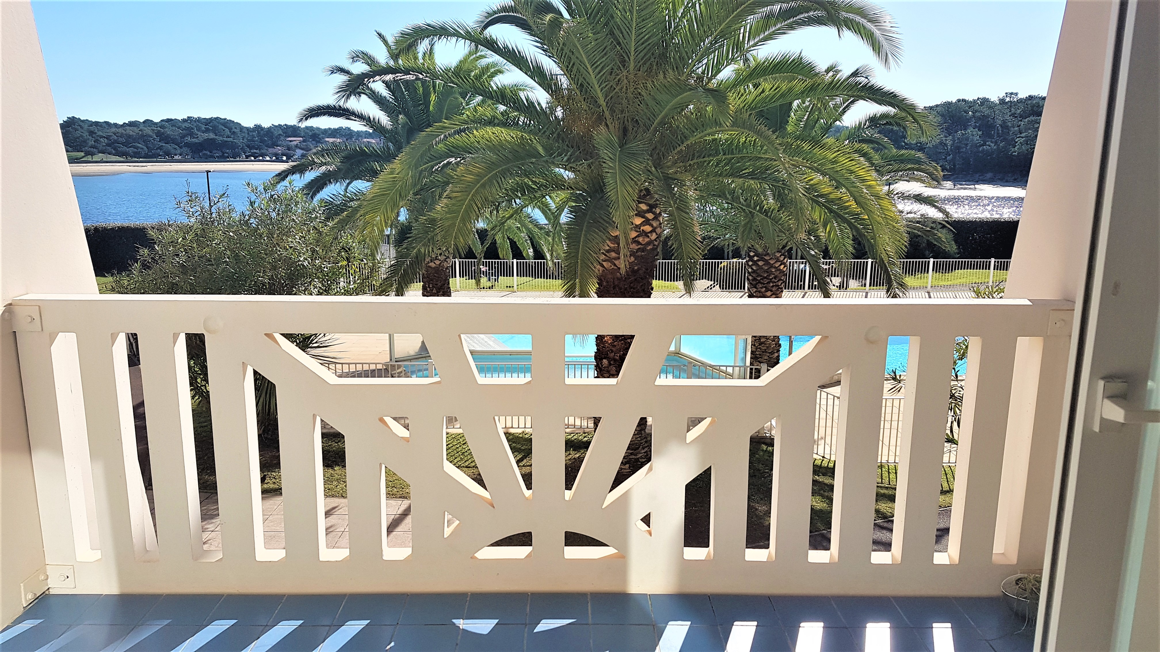 COUSINvieux_boucau_landes_atlantique_sud