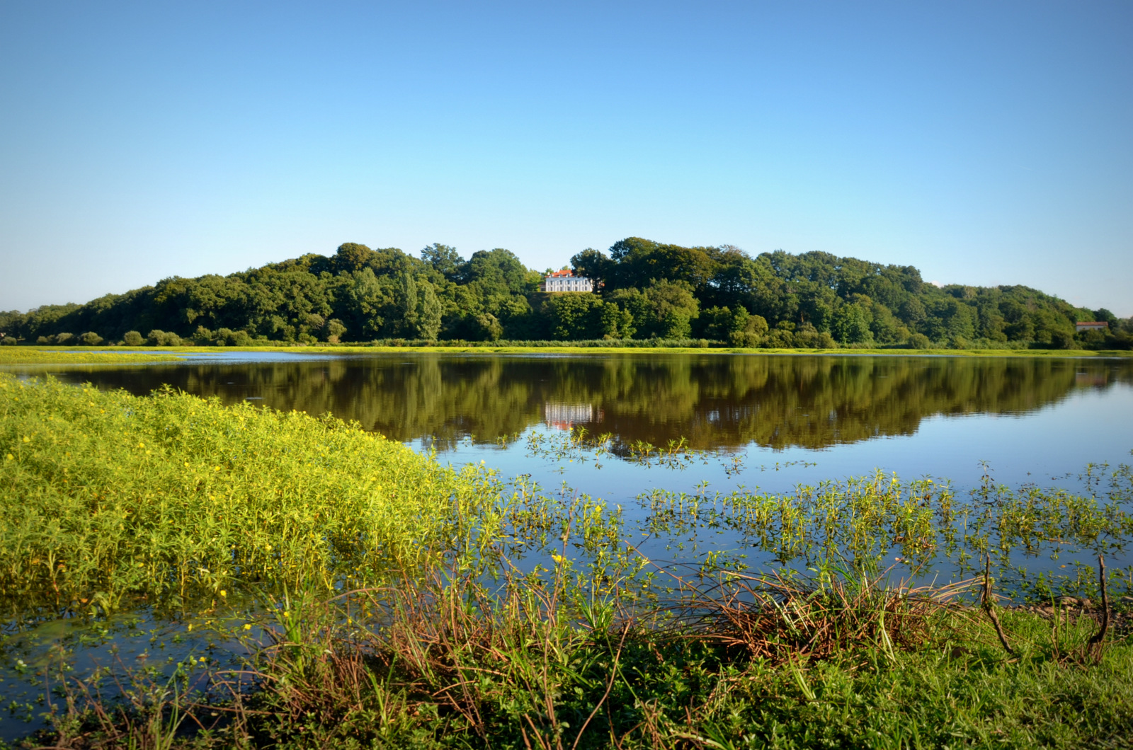 Landes Atlantique Sud- C.RocheRéserve naturelle du Marais d'Orx- Labenne - Landes Atlantique Sud