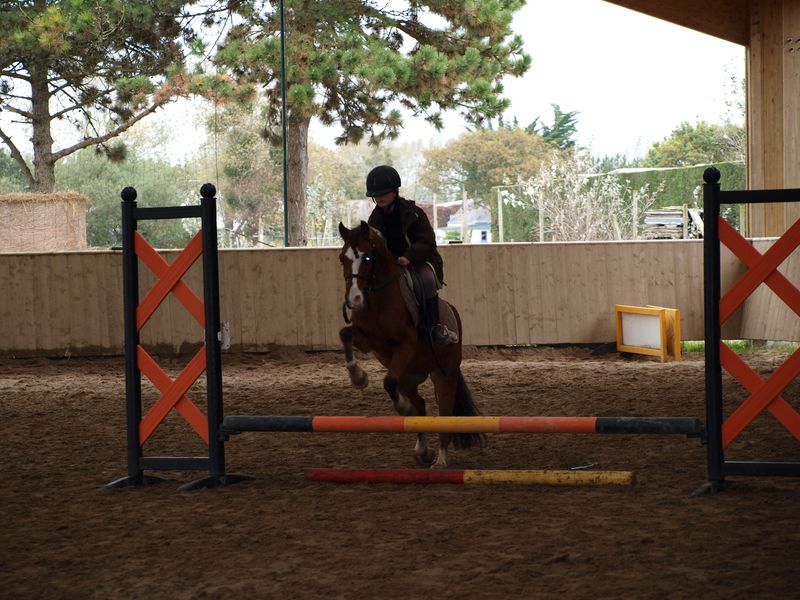 OTCentre Equestre d'Hauteville-sur-Mer_P1014201 [800x600]