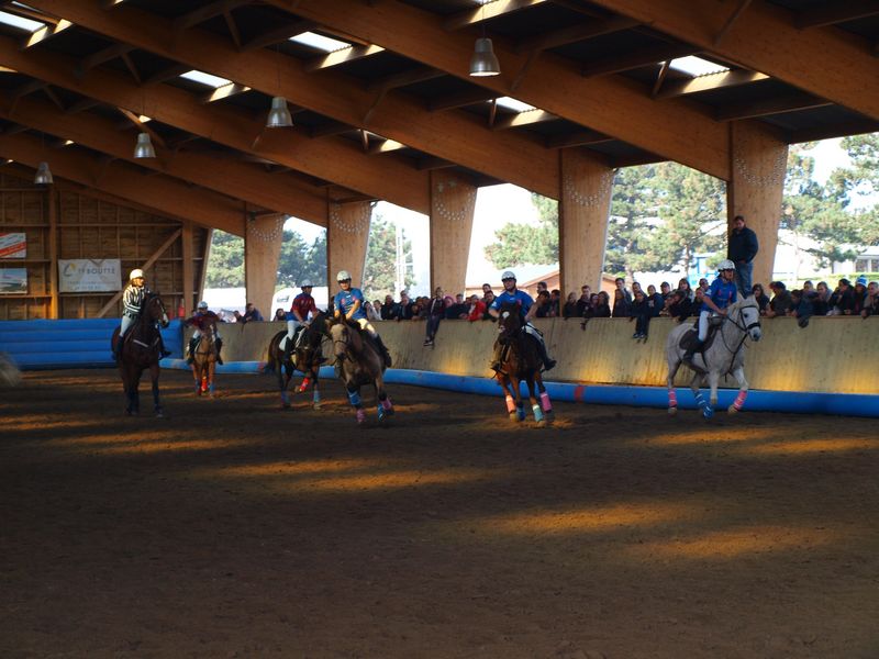 OTCentre Equestre d'Hauteville-sur-Mer_P1014741 [800x600]
