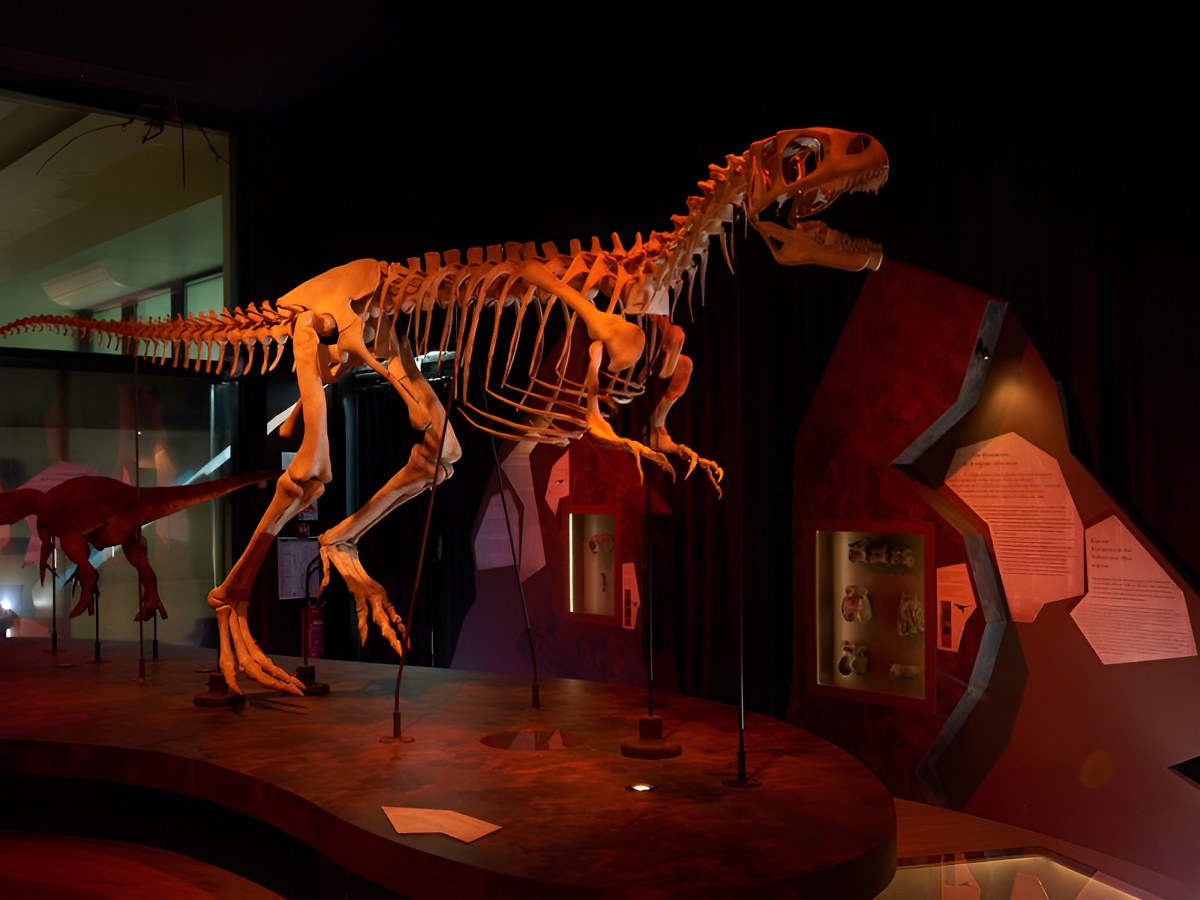 Julien Boisardpaleospace salle dinosaure