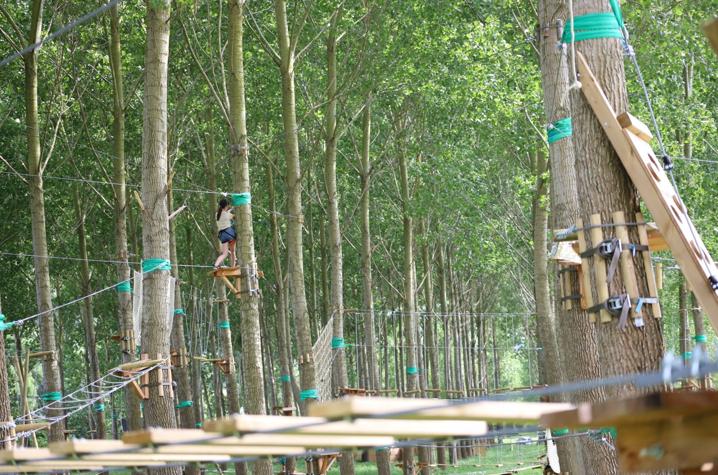 Cocktail AventureParc Aventure - Cocktail Aventure - Saint Martin d'Arrossa