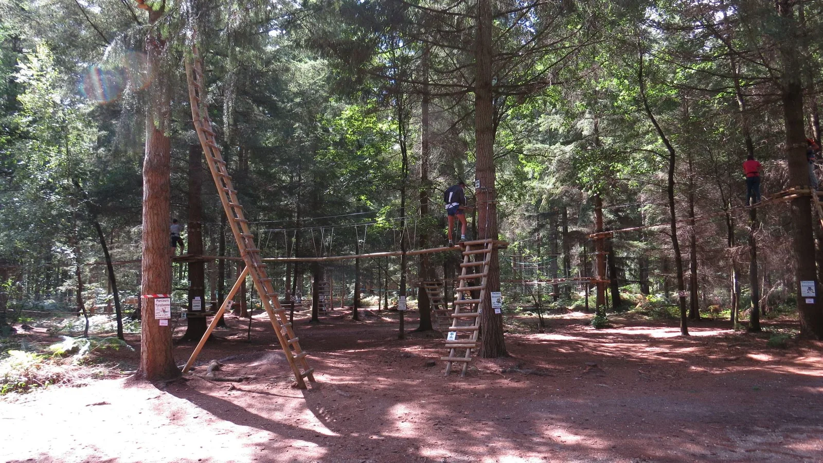 Acroforest