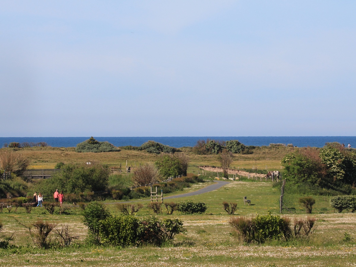 Nathalie PapouinPARC-DE-L-EDIT-COURSEULLES-SUR-MER-BALADE-CREDIT-NATHALIE-PAPOUIN