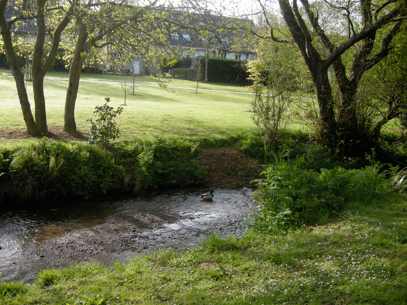 © Ville d'Equeurdreville-HainnevillePARC DE LA BONDE-1