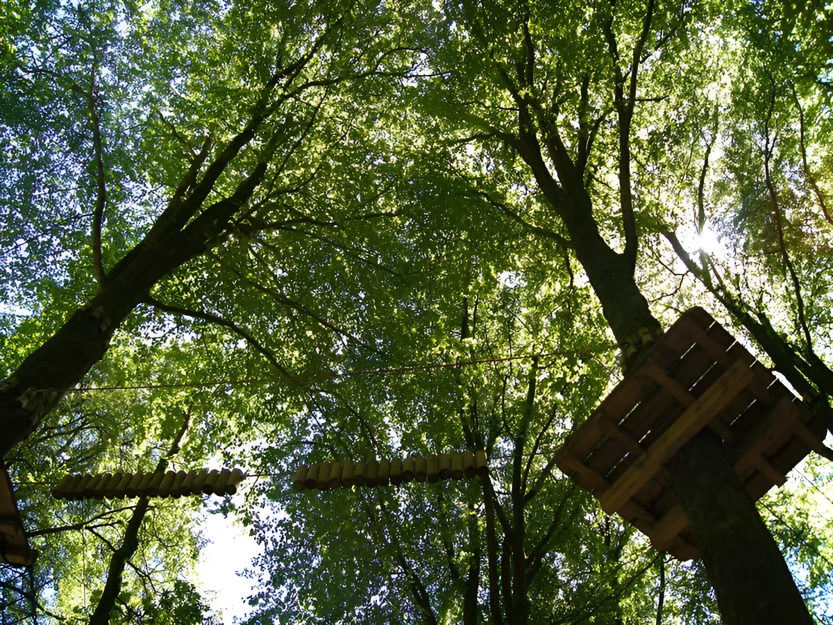 Calvados TourismeParcours-dans-les-arbres