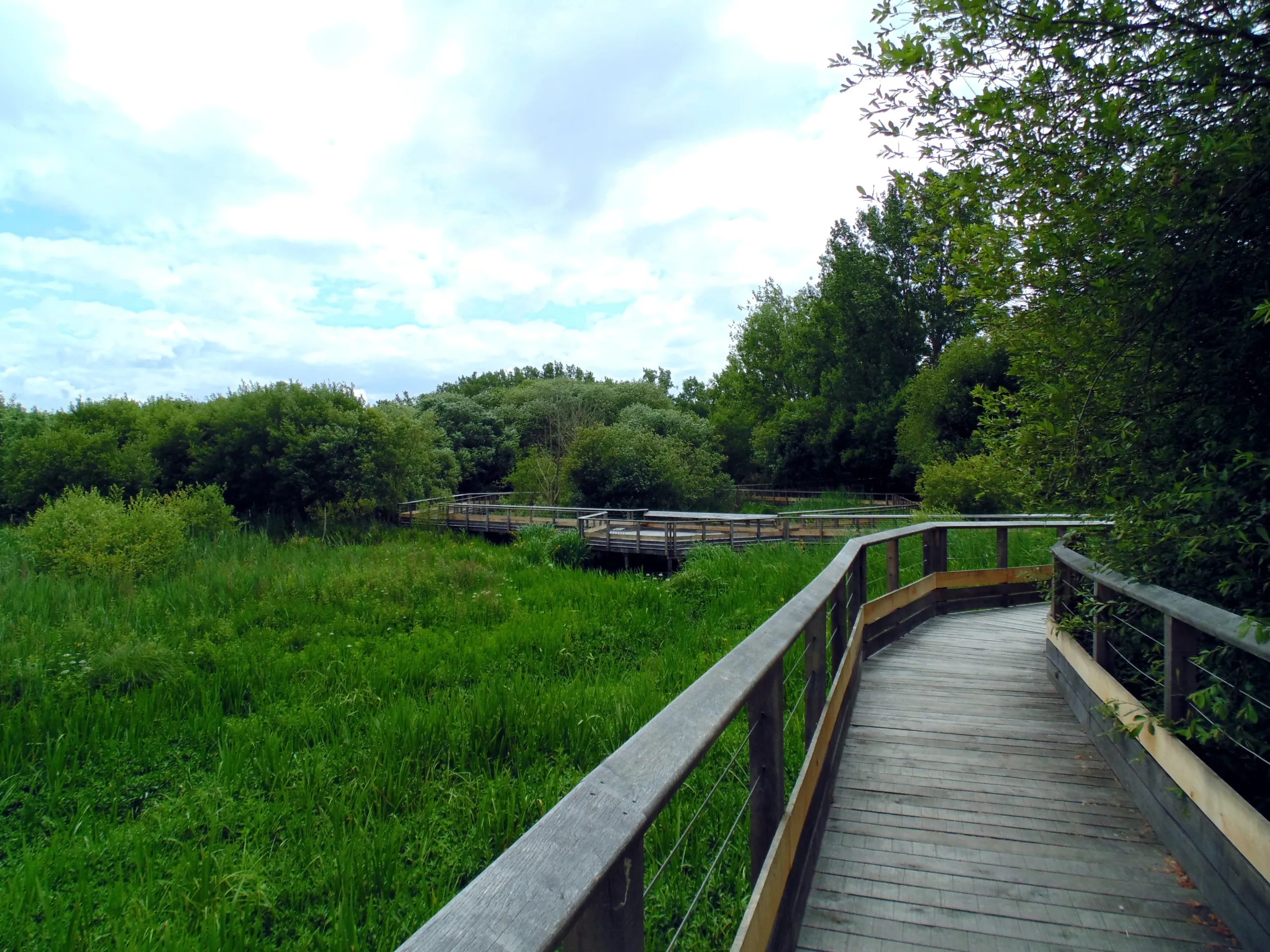 Passerelle sur le Marais d'Orx.jpg