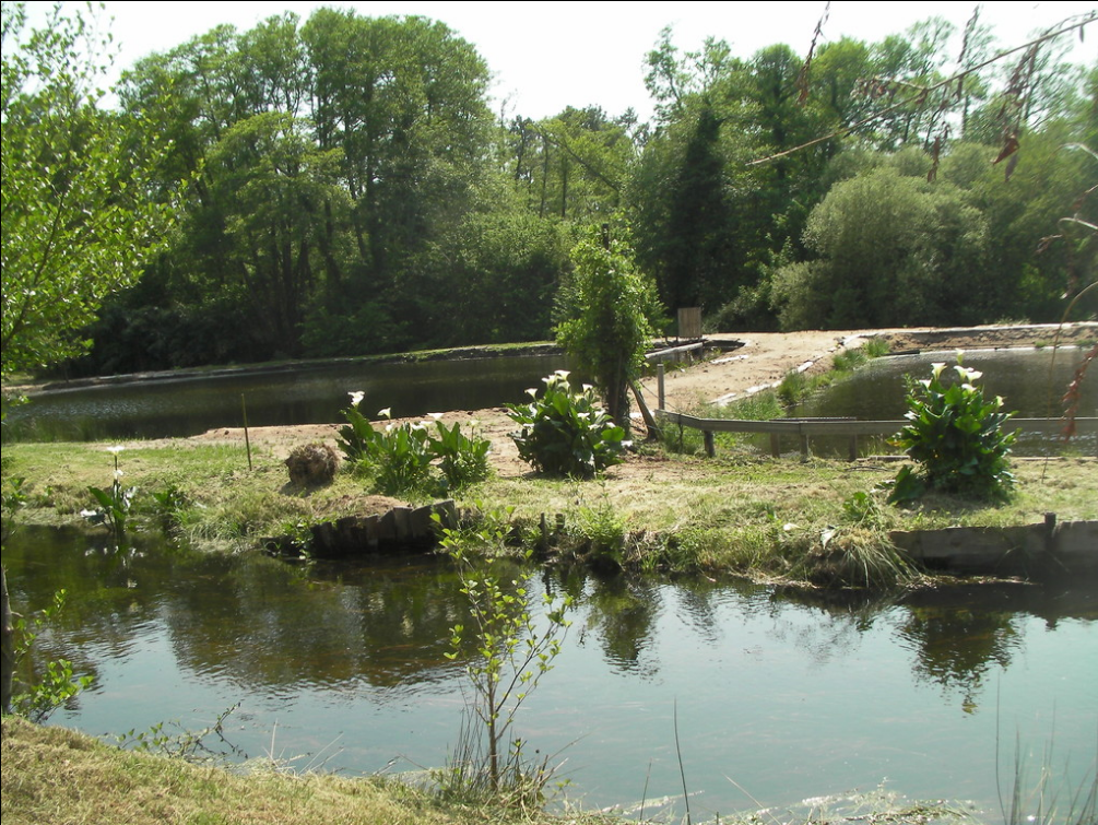 Pêche à la truitePêche à la truite-parentis-env2
