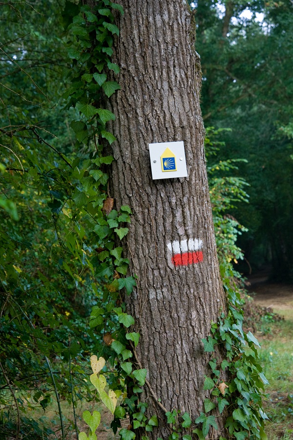 © Anne Lanta / www.kreaphoto.com2012_Pelerins