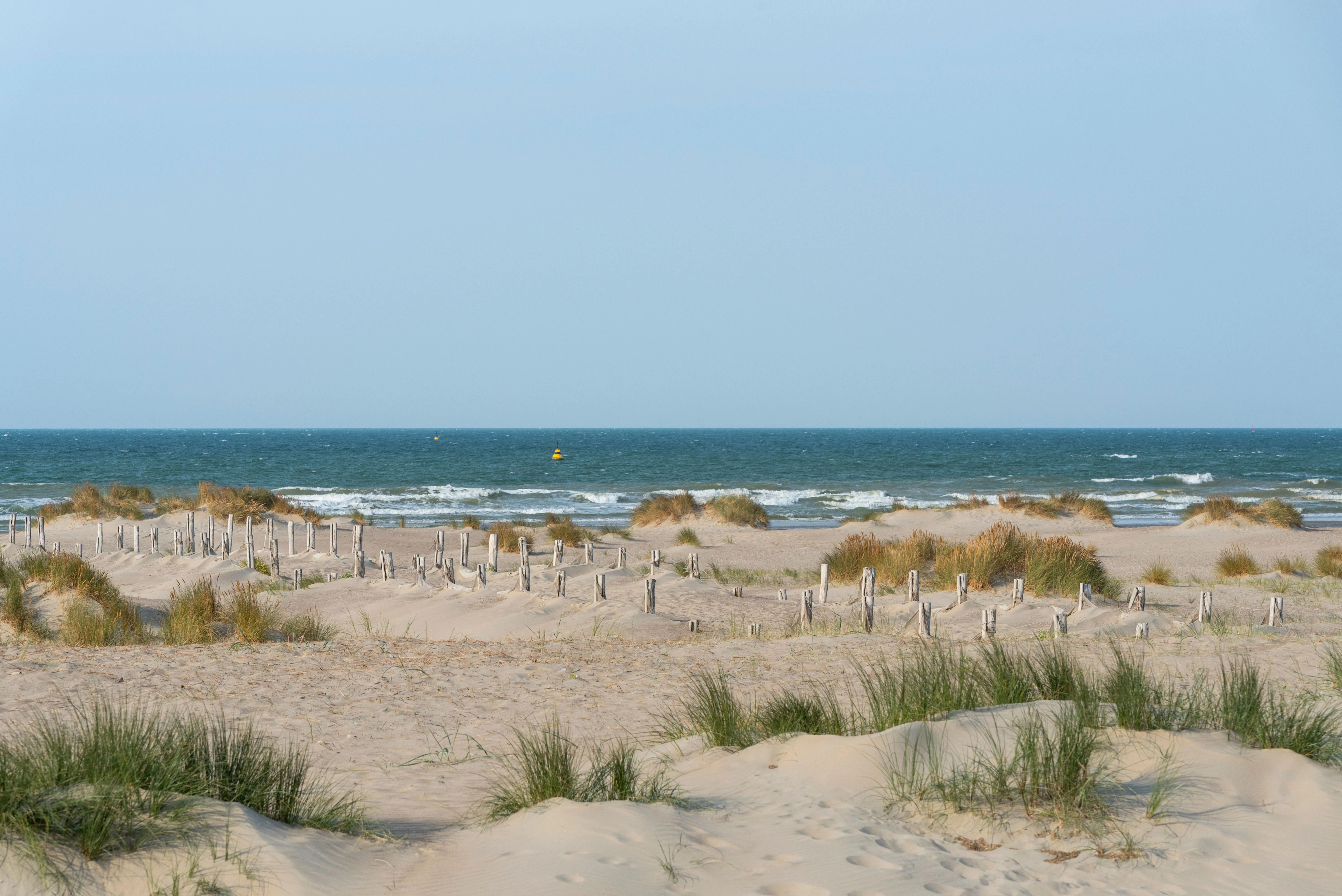 Plage de sable paisible avec des herbes de dune à Dunkerque, France, sous un ciel bleu.