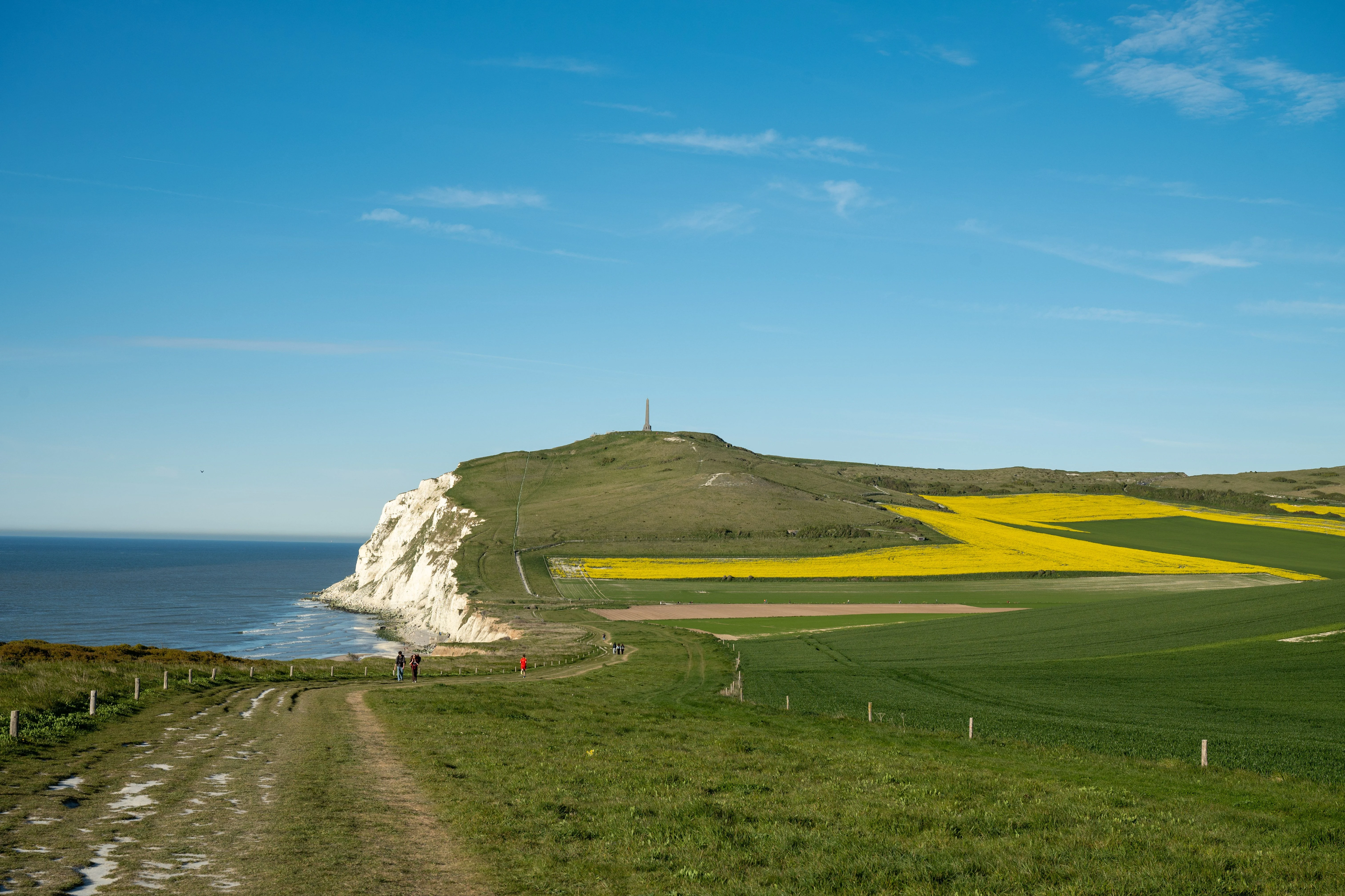 Paysage pittoresque du Cap Blanc-Nez avec ses champs éclatants et ses falaises côtières sous un ciel d'un bleu limpide.