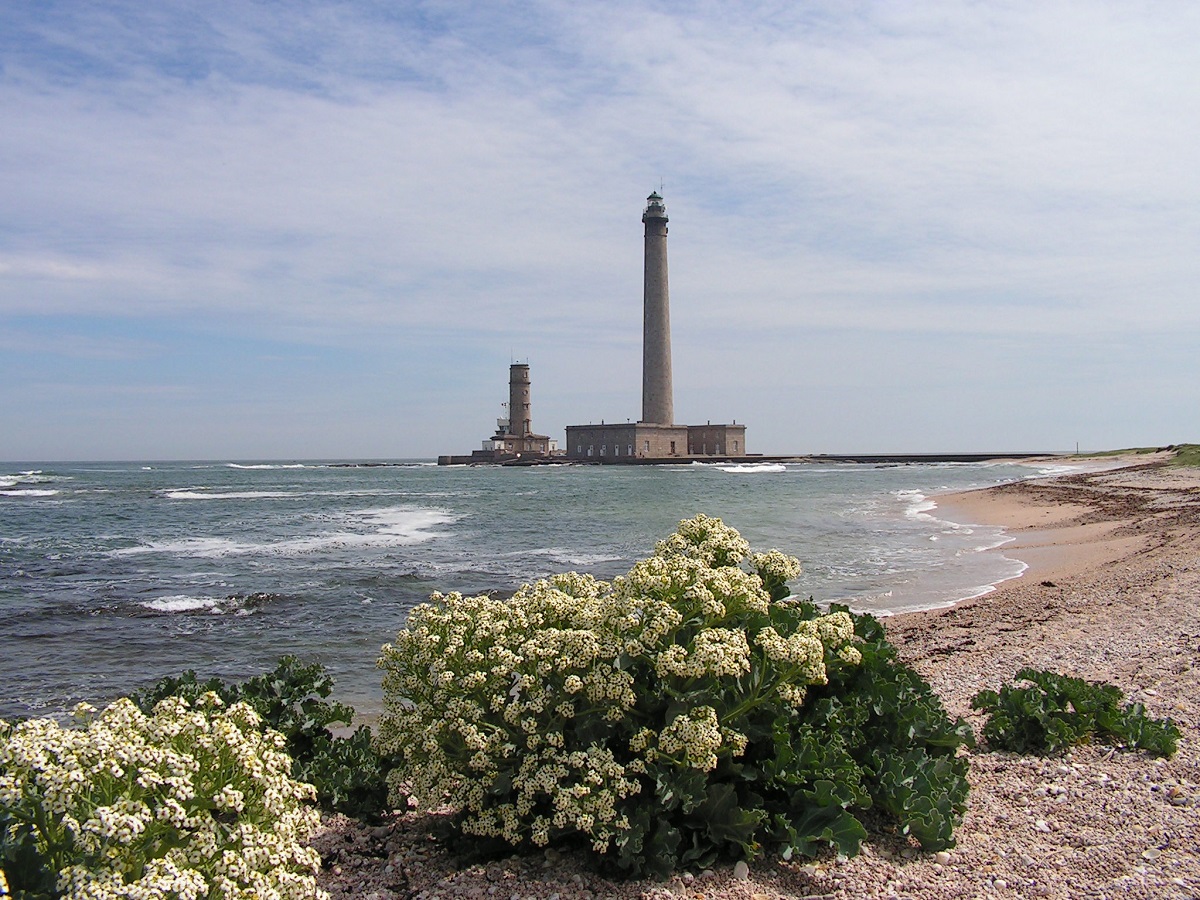 © PHARE DE GATTEVILLEPhare de Gatteville