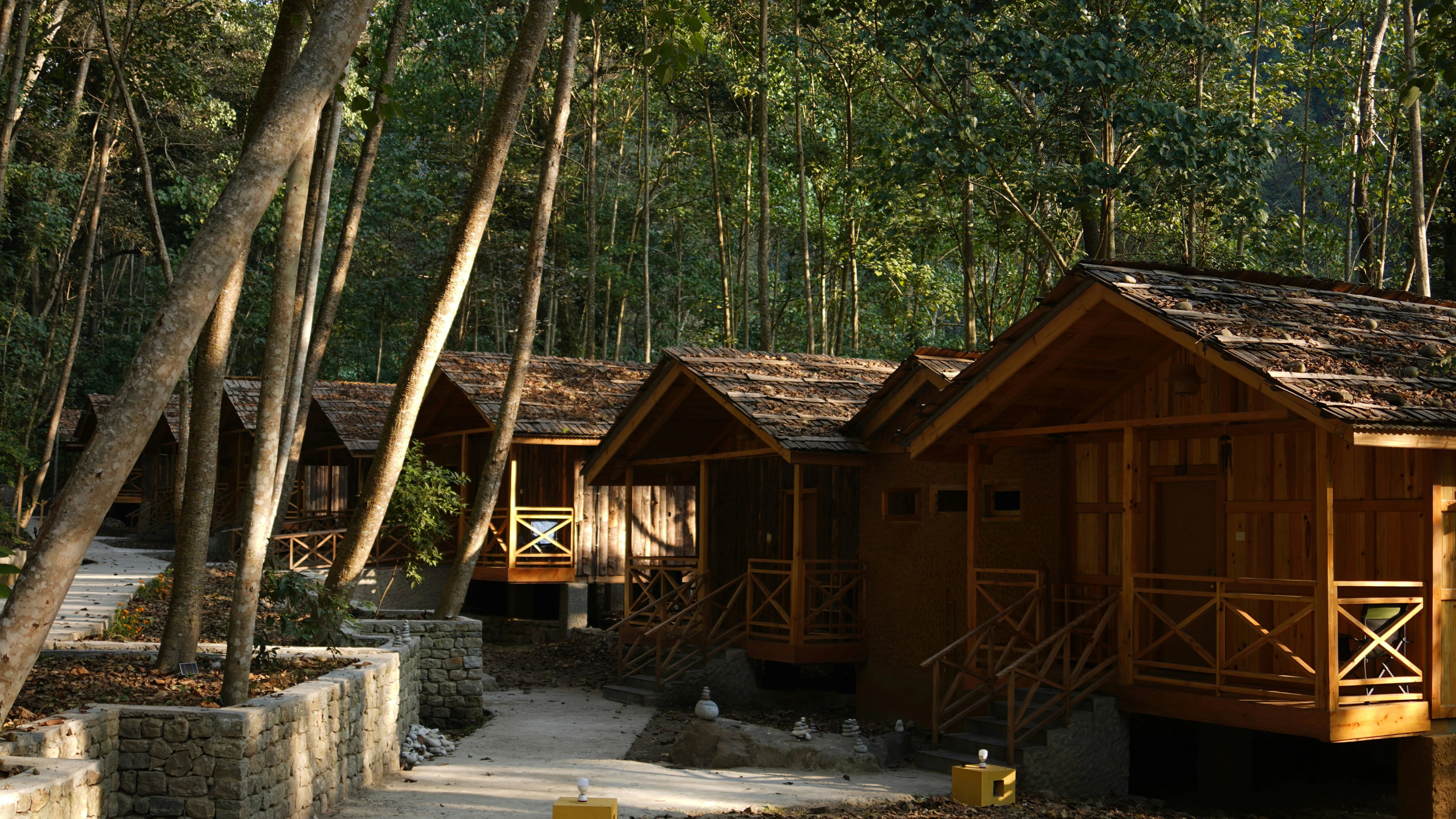 Wooden cabins nestled among trees in a forest.