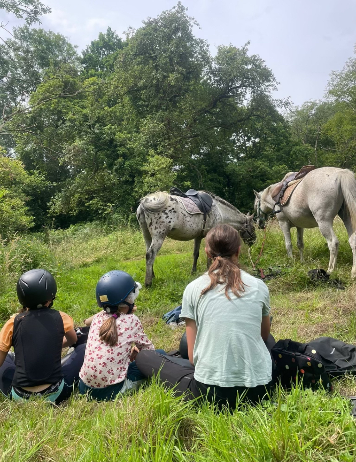 domaine de capucinePhoto 3 Centre équestre Domaine de Capucine