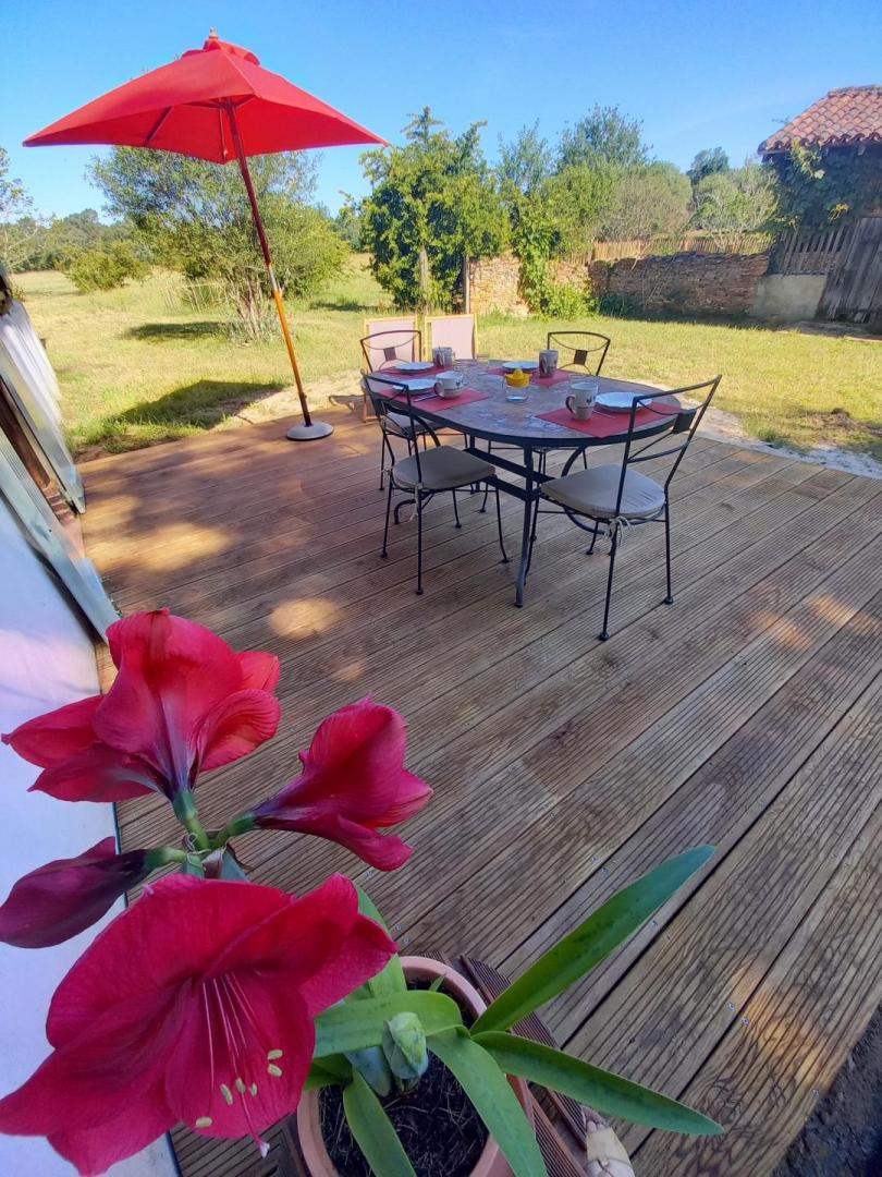 GDF40Terrasse du Gîte du Platane à Bélis 10203 avec Gites de France Landes