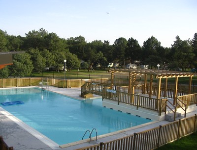 ©pins bleus piscine