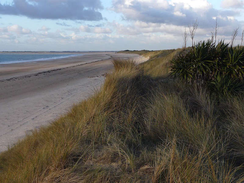 CDT50pirou-armanville-plage