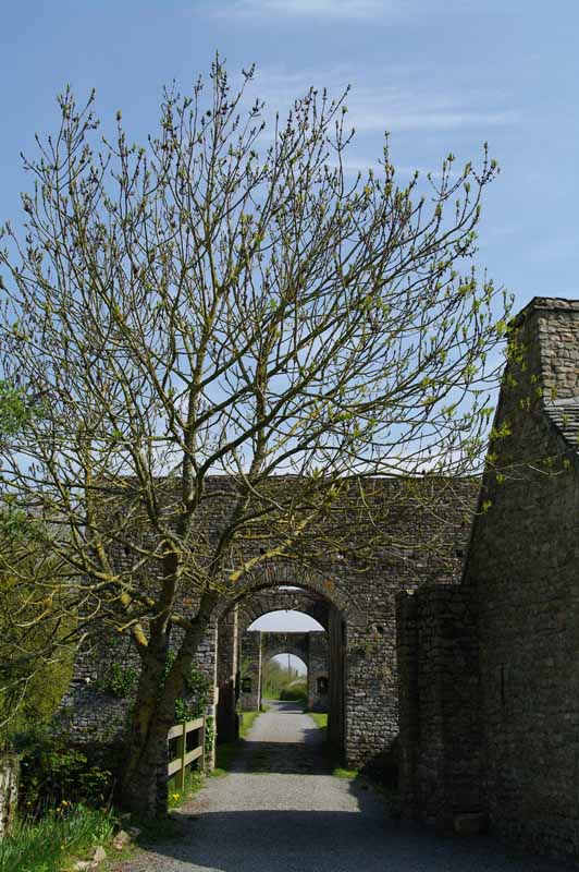 V. Parmentier-ThébaultPirou_Chateau Fort_2009_04_23 (2)©V. Parmentier-Thébault
