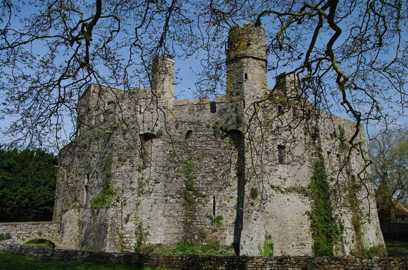 V. Parmentier-ThébaultPirou_Chateau Fort_2009_04_23 (24)©V. Parmentier-Thébault