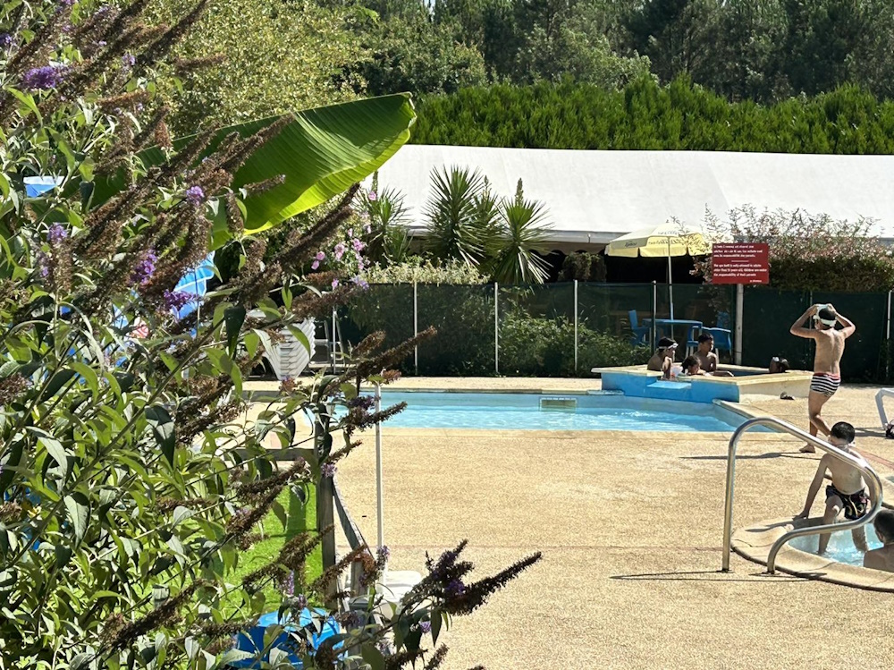 LES PINS DU SOLEIL 2024piscine 2024