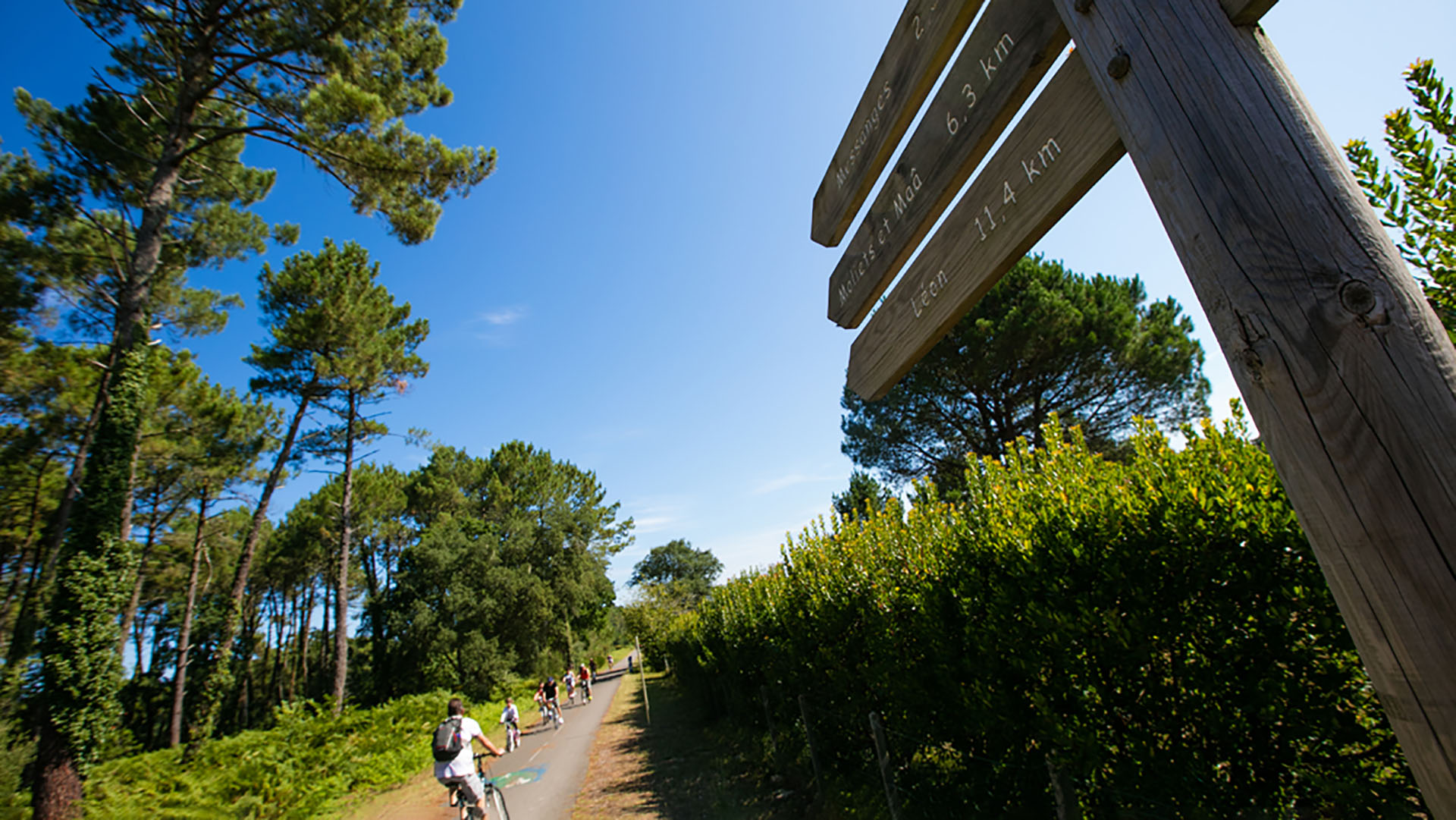 Résasolpiste-cyclable (3)