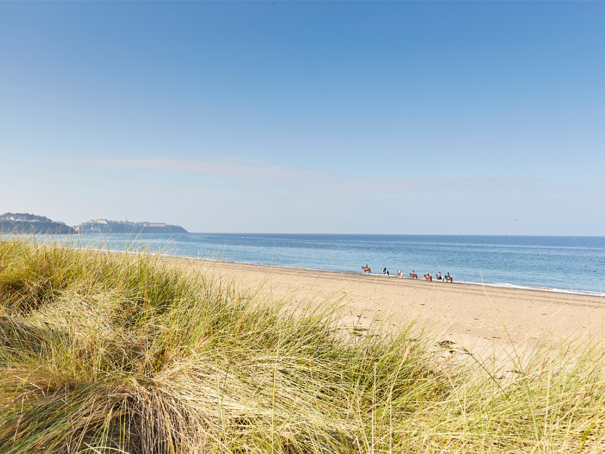 Alexandre Lamoureuxplage-breville-sur-mer-01