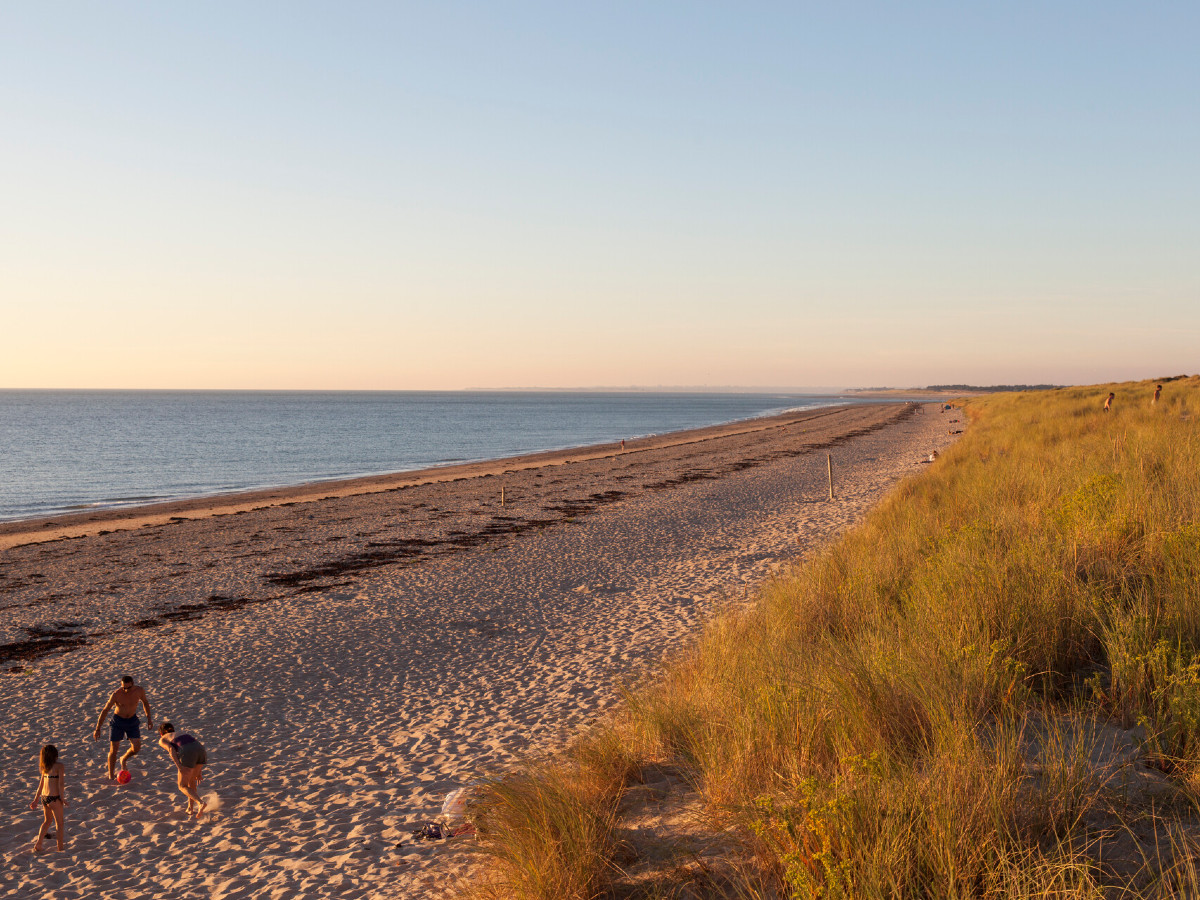 Thomas Jouanneauplage-bricqueville-sur-mer