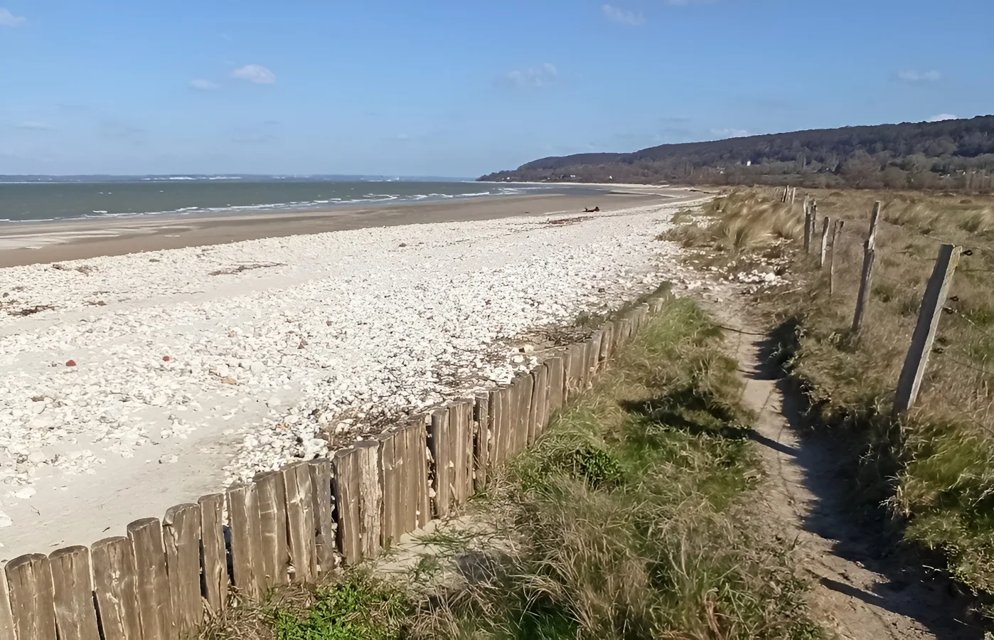 Plage de Cricqueboeuf