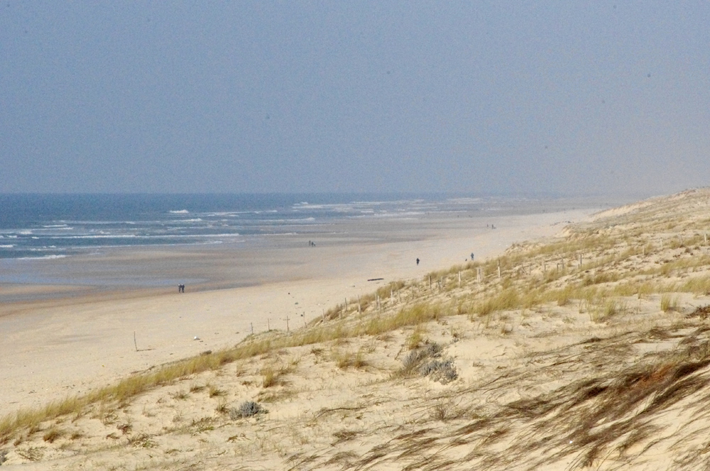camping le Moussailloncamping le moussaillon_messanges_landes atlantique sud plage-de-messanges--2-