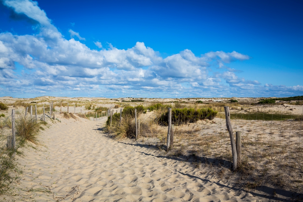 bplage-oceane-biscarrosse