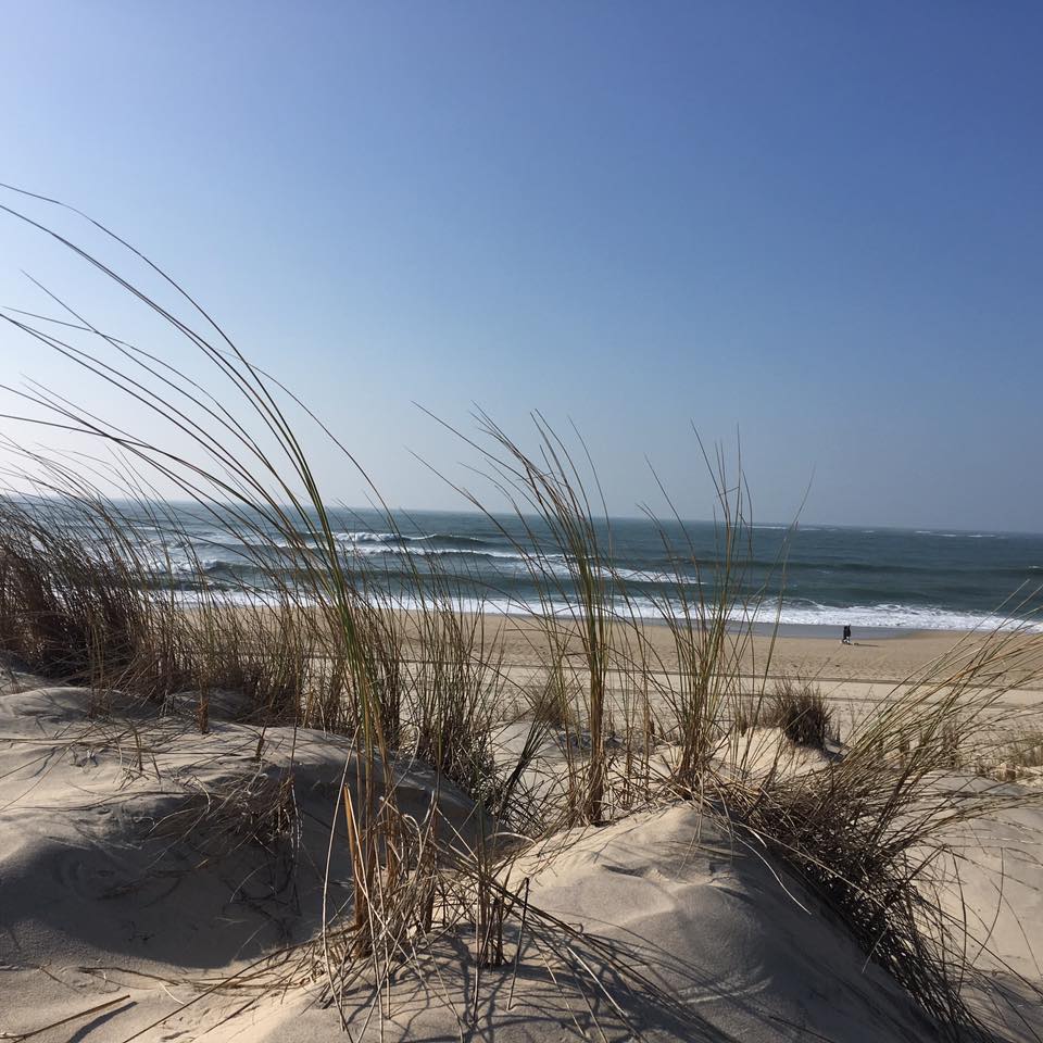 Tesquetplage salie nord-février 2018