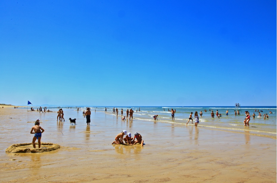 ©Jacphot_OTI Landes Atlantique SudPlage nord-Messanges-Landes Atlantique Sud