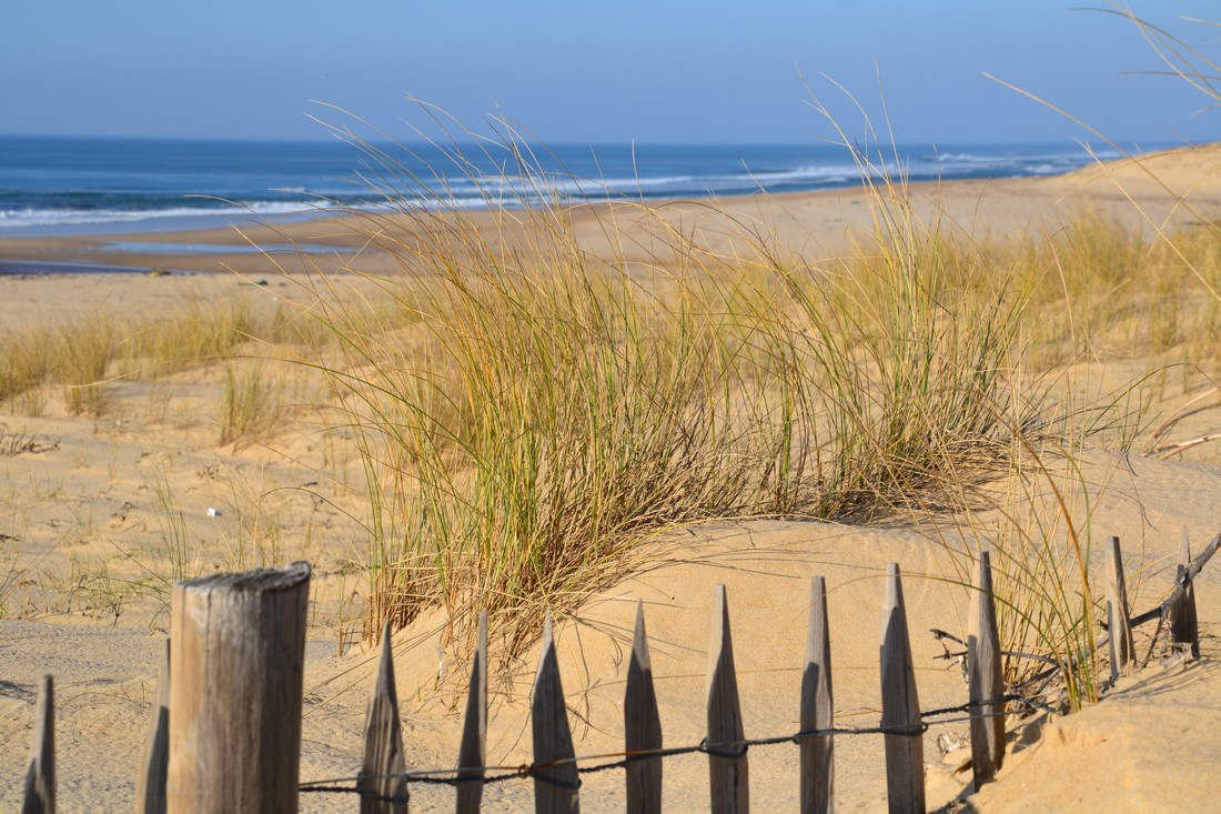 M. DupouyPlage Centrale_Moliets_Landes Atlantique Sud