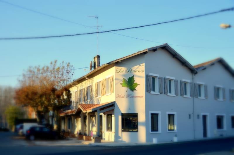 Les Platanesplatanes