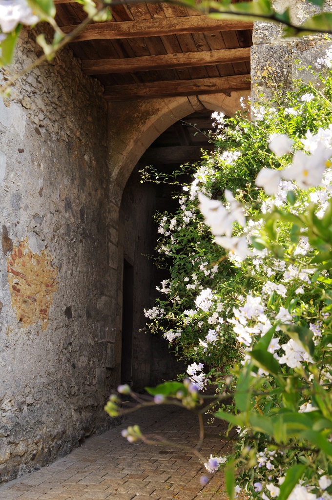 ©JB LAFFITTE2009_STSEVER_Porte-Touron-001