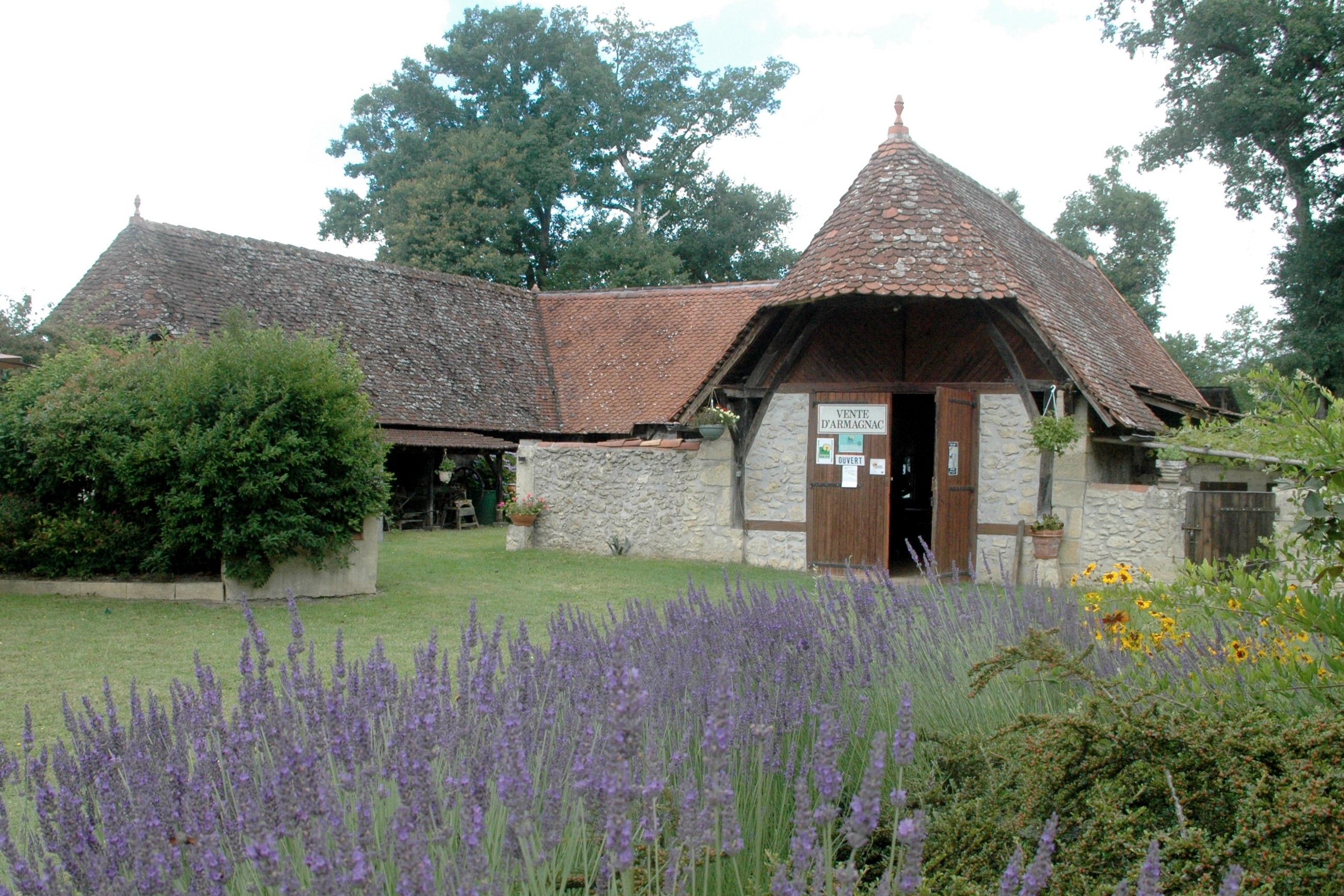 ©chaidesoubeProducteur - Armagnac - Saint Justin - Chai de Soube