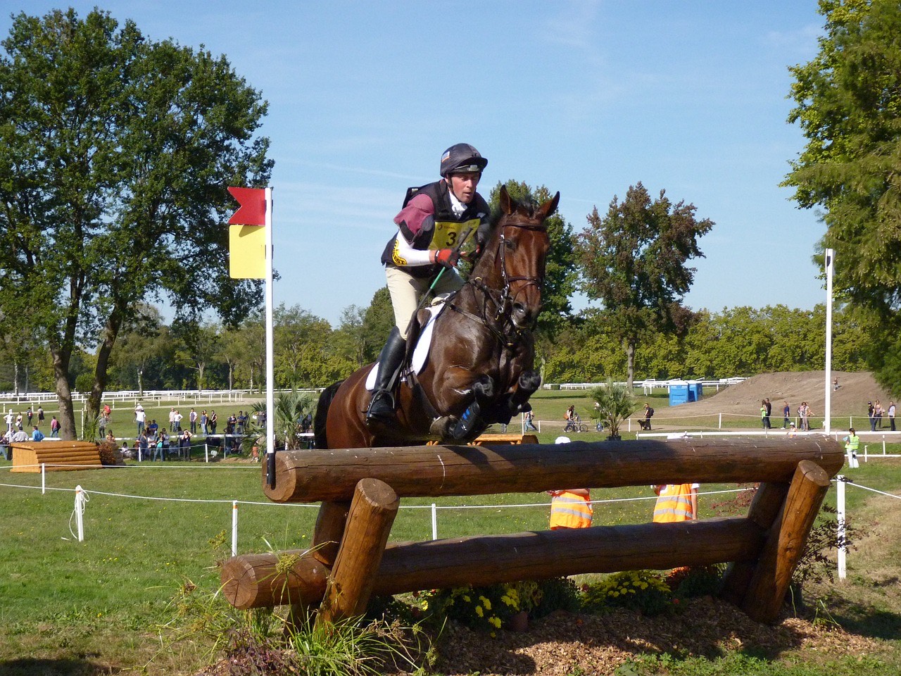 Pixabaypuce cross cheval pixabay