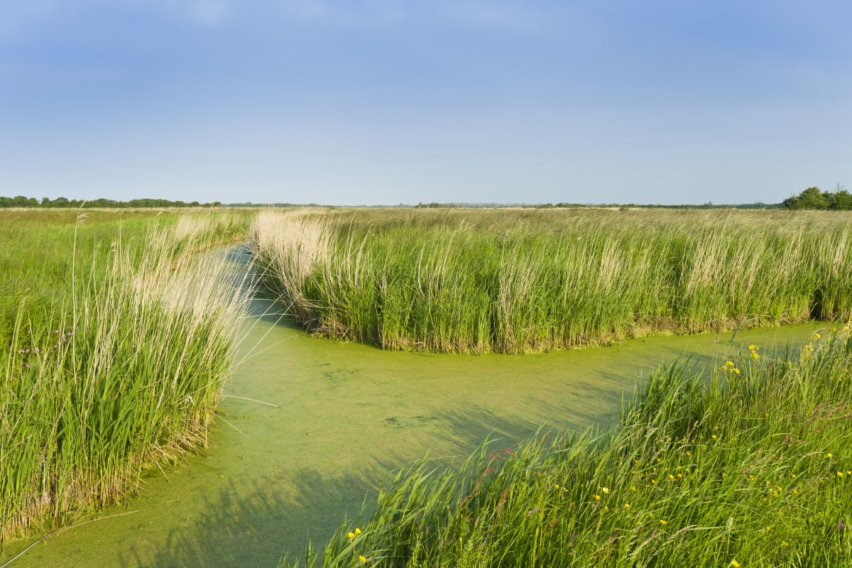 Lerouge Marc PhotographiesQUINEVILLE - HAVRE DE LA SINOPE - VDS - 4