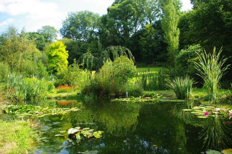 PROPRIETAIRErampan-jardin-le-pre-du-moulin-3