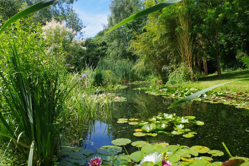 PROPRIETAIRErampan-jardin-le-pre-du-moulin-4
