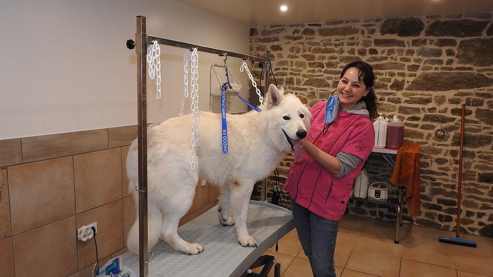 toilettage bien être avec carolinetoilettage canin