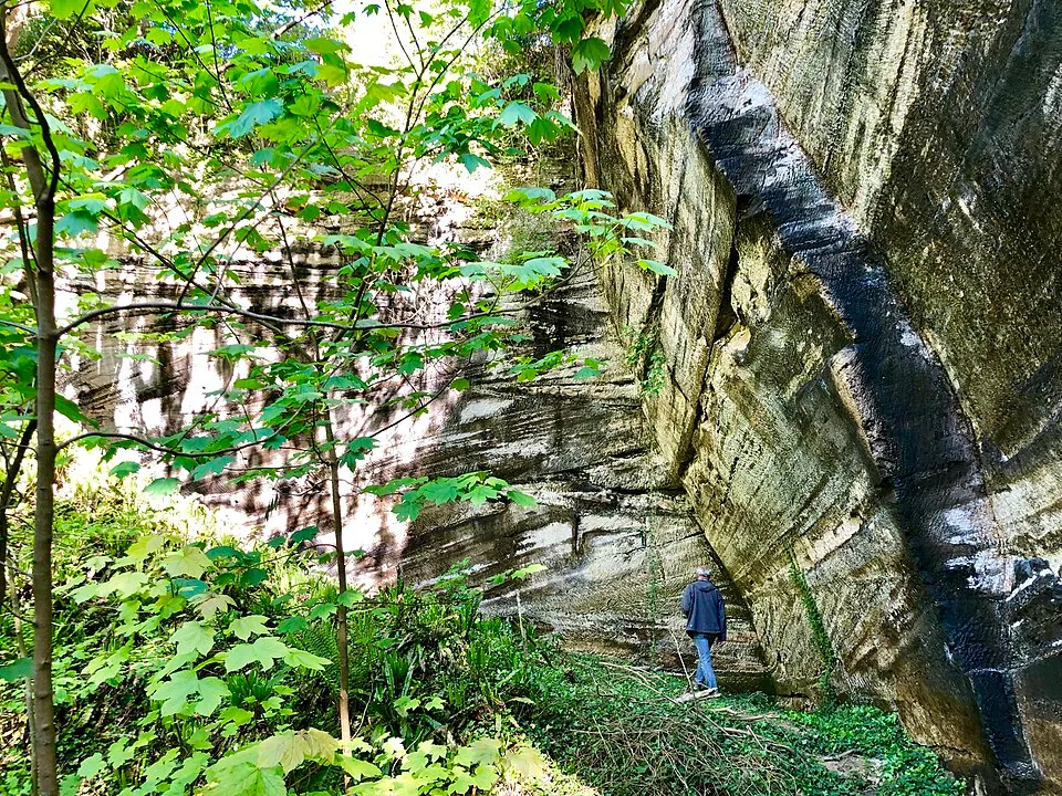 Réserve naturelle Régionale-Anciennes carrières d'Orival paroi oblique