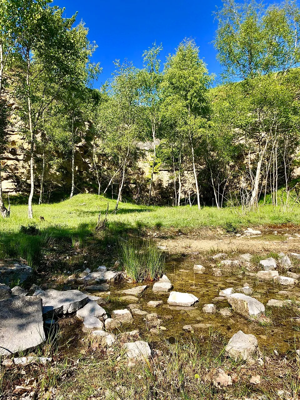 Réserve naturelle Régionale-Anciennes carrières d'Orival Petite mare