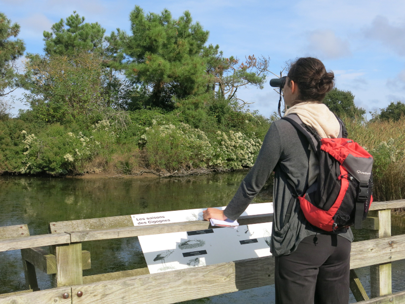 ROTRéserve Ornithologique du Teich
