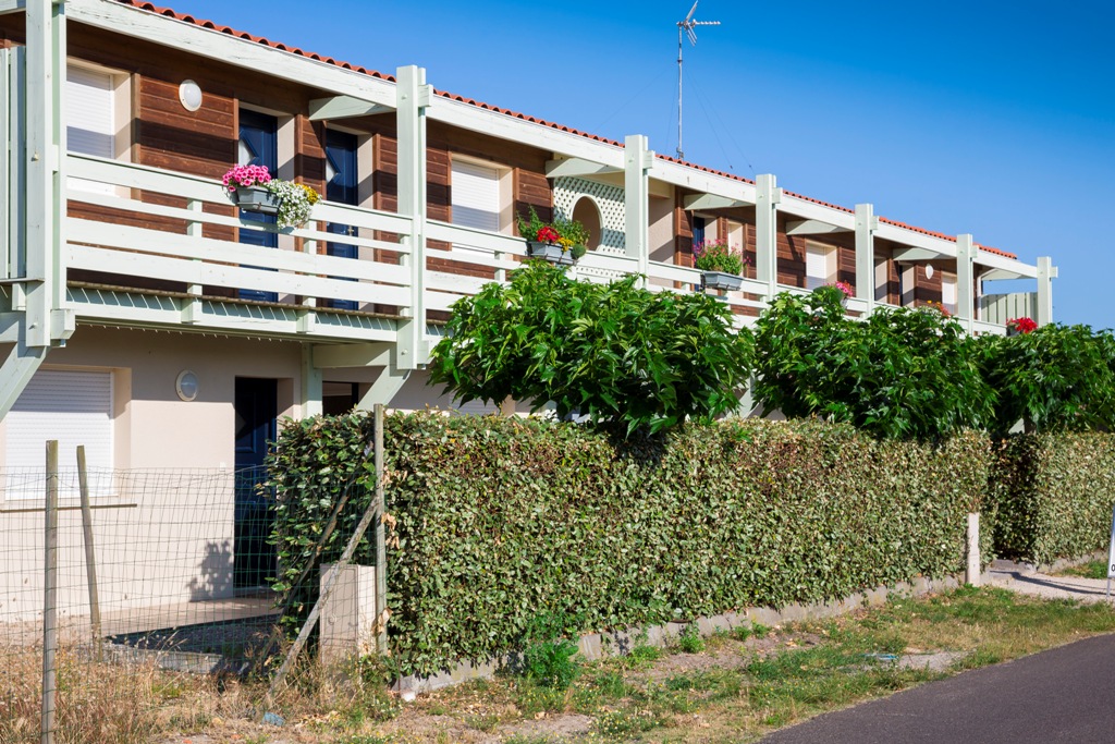 residence-au-pitotresidence-au-pitot-bisca (4)